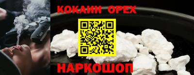 сатива Гай