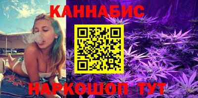 трава Гатчина
