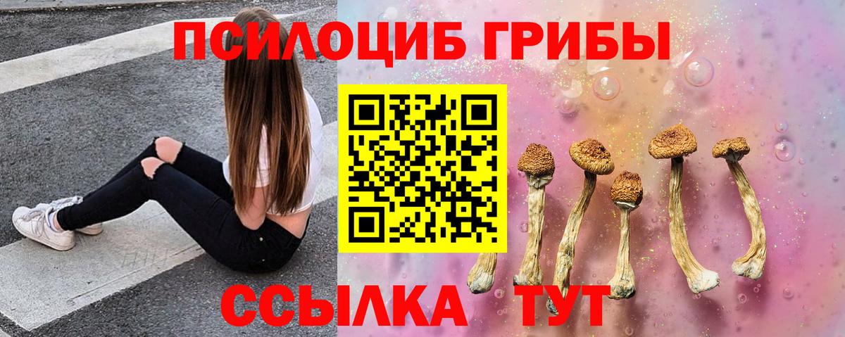 Коммунар  Псилоцибиновые грибы прущие грибы  Вход с VPN 
